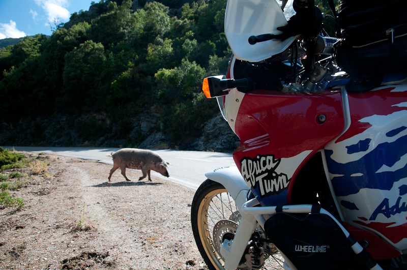 14-corsica-in-moto-2011
