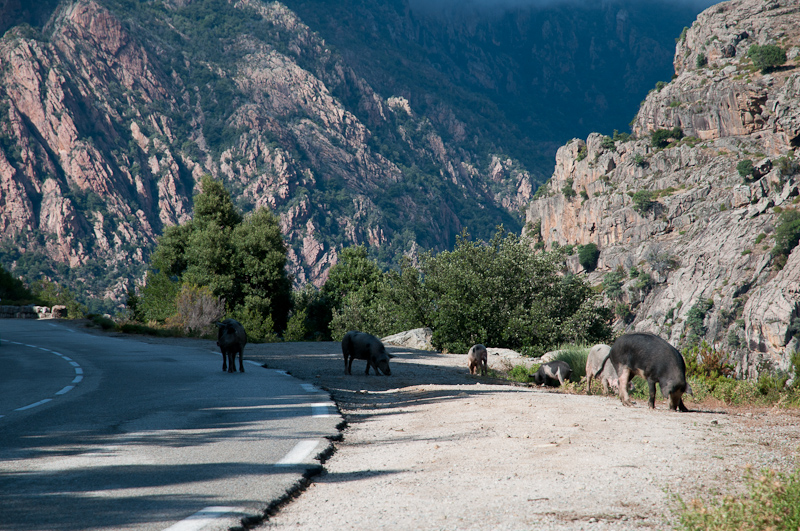 14-corsica-in-moto-2011